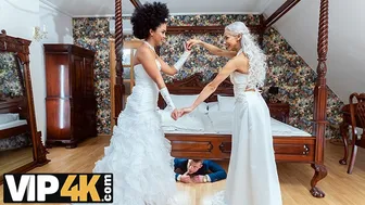 Λευκά και μαύρα κορίτσια στα λατινικά τρίο βαράνε τις ουρές μας
